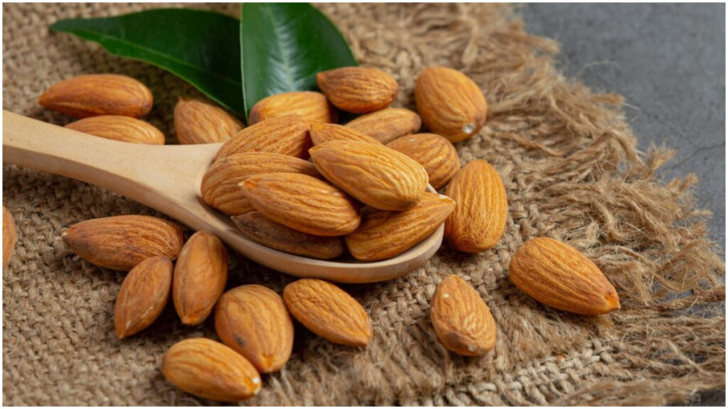 Almonds Freepik 1729155270.jpg