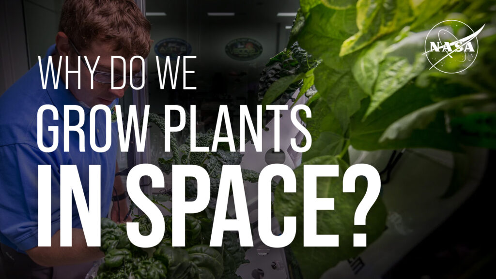 Why Do We Grow Plants In Space Thumbnail.jpg