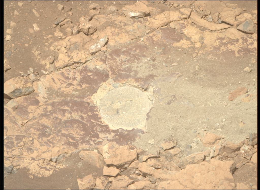 Mars Perseverance Zr0 1529 0802675015 598eby N0750000zcam09594 1100lmj.png